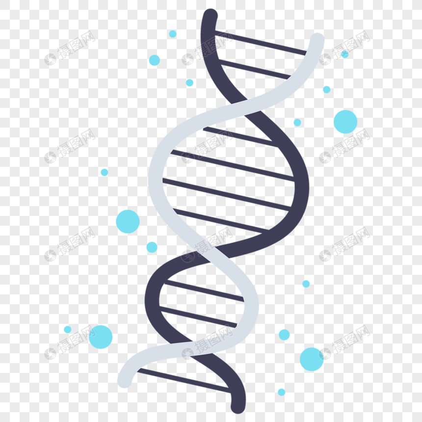 860x860 Dna Icon Png Image Picture Free Download