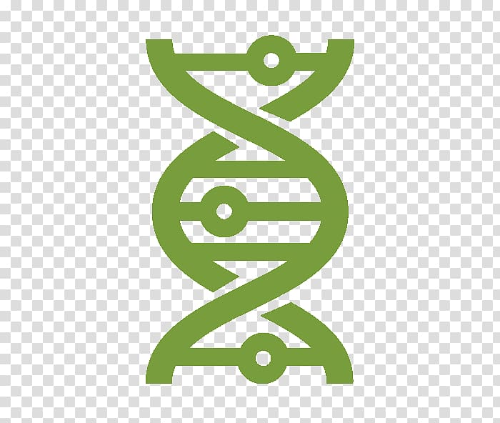 700x592 Flow Computer Icons Dna Science Biology, Dna Transparent