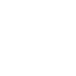 256x256 White Documentary Icon