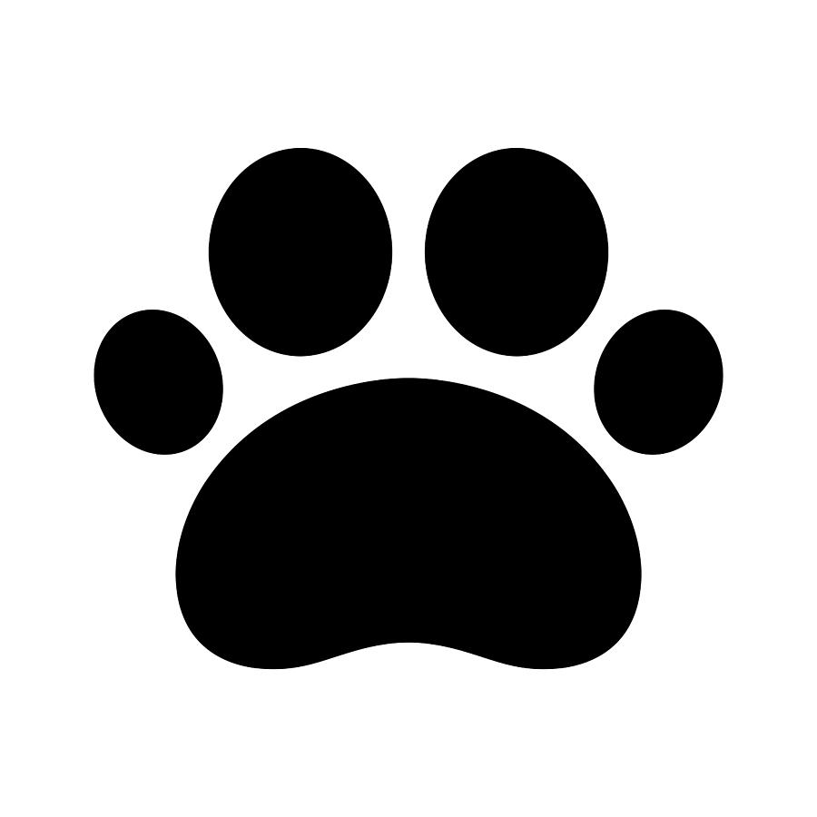 900x900 Trail Paws Vector Illustration Dog Cat Icon Logo Clipart French