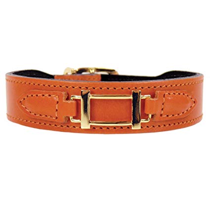 425x425 Hartman Rose Leather Dog Collar Gold Plated Square