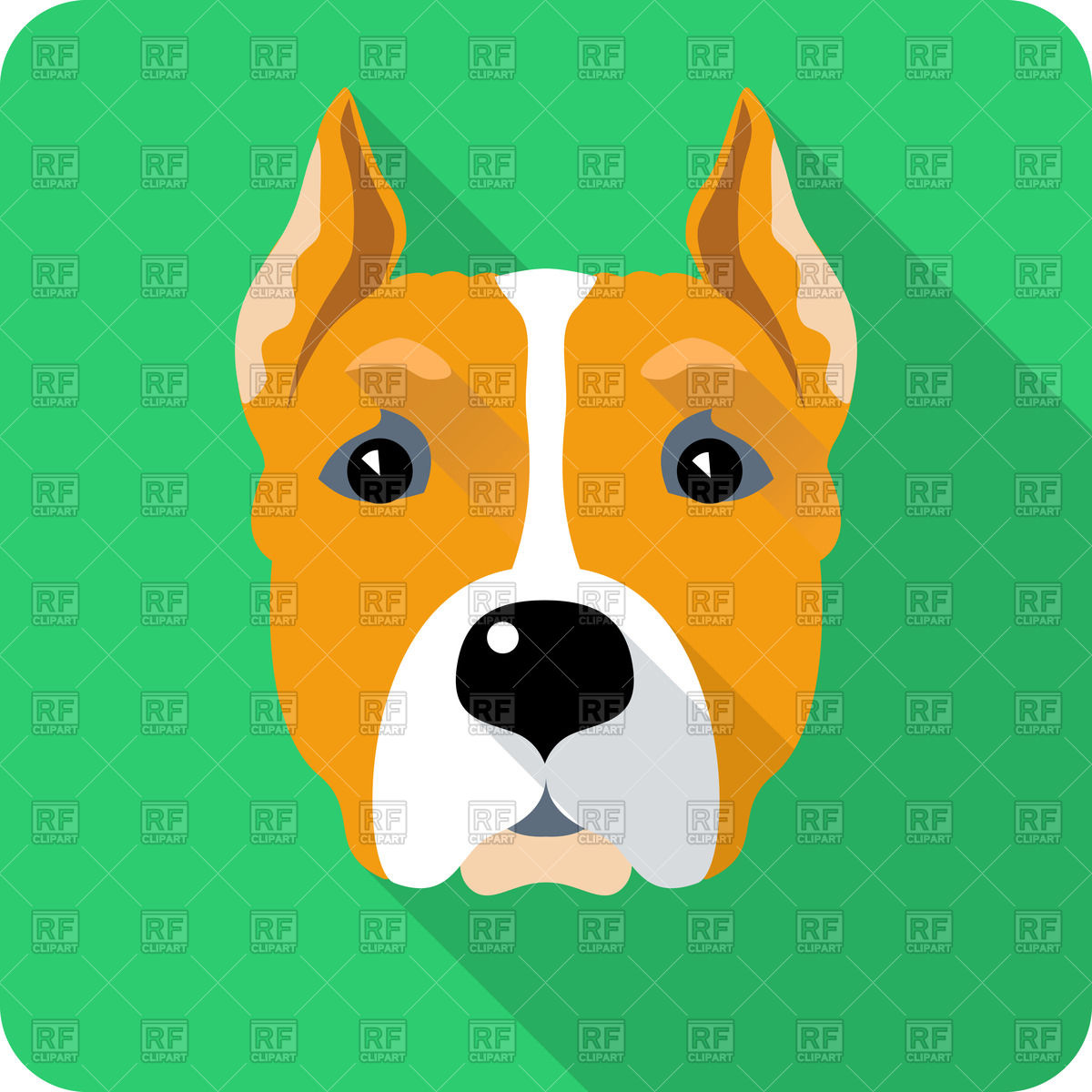 1200x1200 Dog Of American Staffordshire Terrier Breed