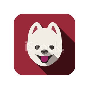 300x300 Pomeranian Dog Face Flat Icon, Dog Series Stock Vectors
