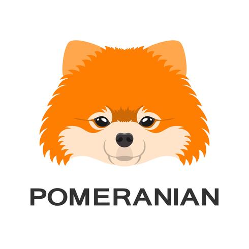 490x490 Vector Illustration Of Pomeranian Dog In Flat Style Pomeranian
