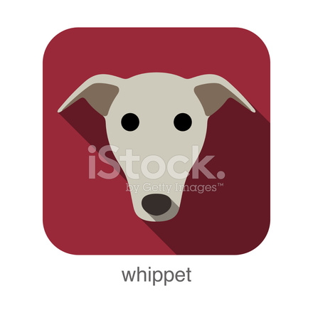 440x440 Whippet Dog Face Flat Icon, Dog Series Stock Vector