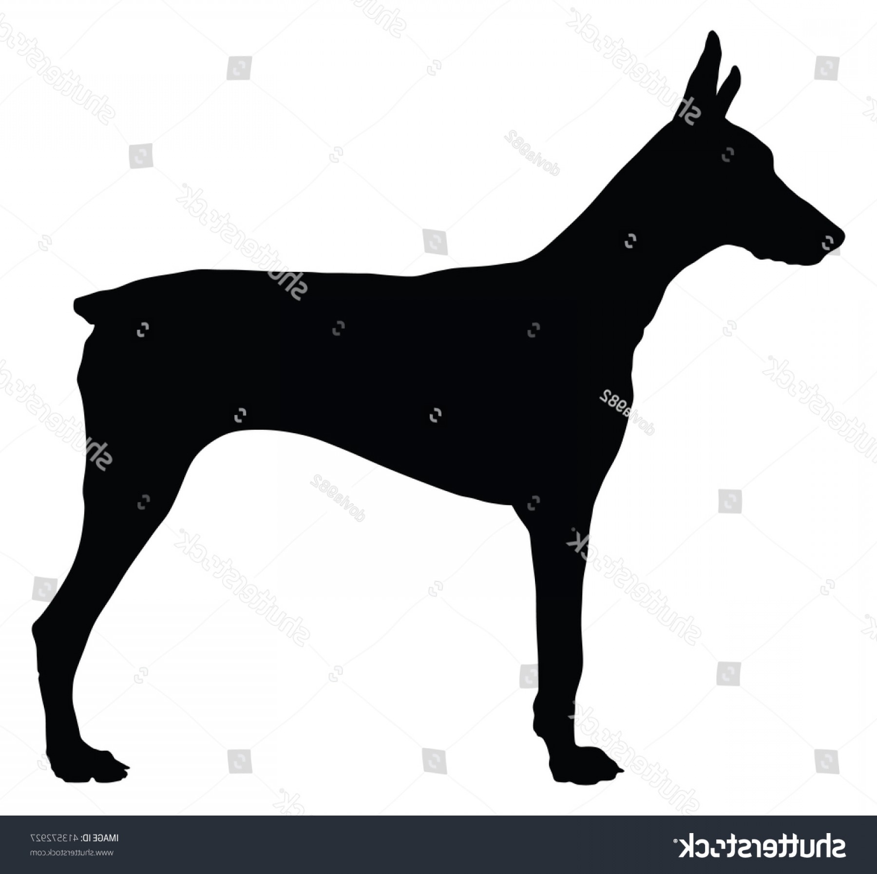 1800x1794 Doberman Pinscher Dog Flat Icon Isolated Soidergi