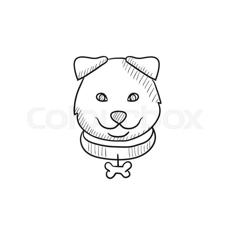 800x800 Dog Head Vector Sketch Icon Isolated Stock Vector Colourbox