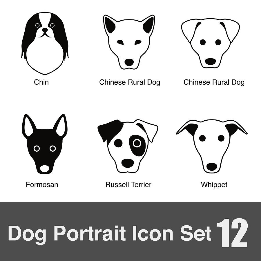 900x900 Set Of Cute Dog Head Icons, Vector Illustration