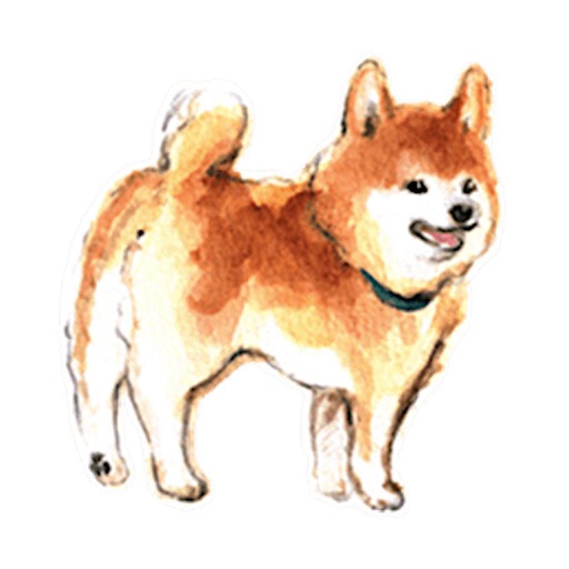 512x512 Watercolor Shiba Inu Dog Icon