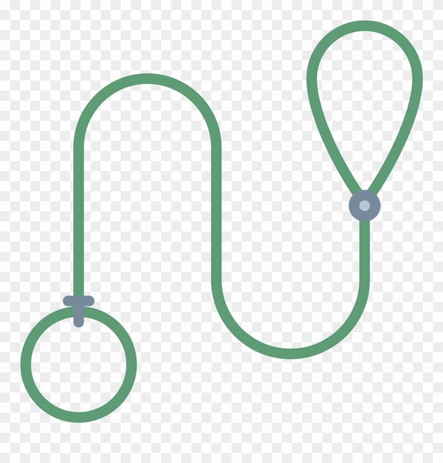 880x920 Dog Leash Icon