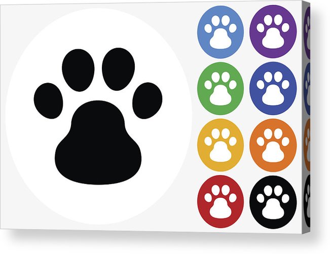 651x501 Dog Paw Icon On Flat Color Circle Buttons Acrylic Print