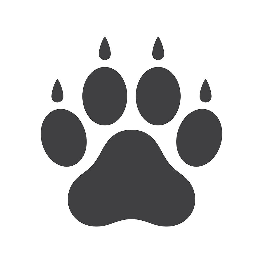 900x900 Dog Paw Icon