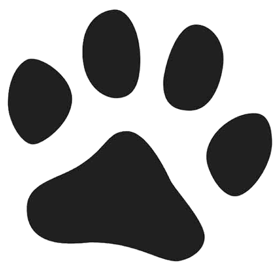 900x900 Paw Print Icon