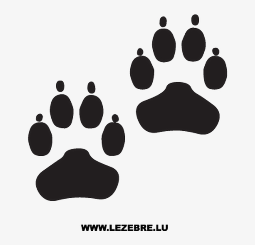 820x787 Dog Paws Decal