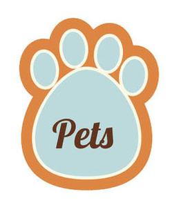 262x300 Pet Lover Icon