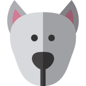 Dog Png Icon 170x170 Dog Png Icon