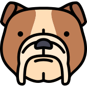 Bulldog Dog Png Icon 170x170 Bulldog Dog Png Icon