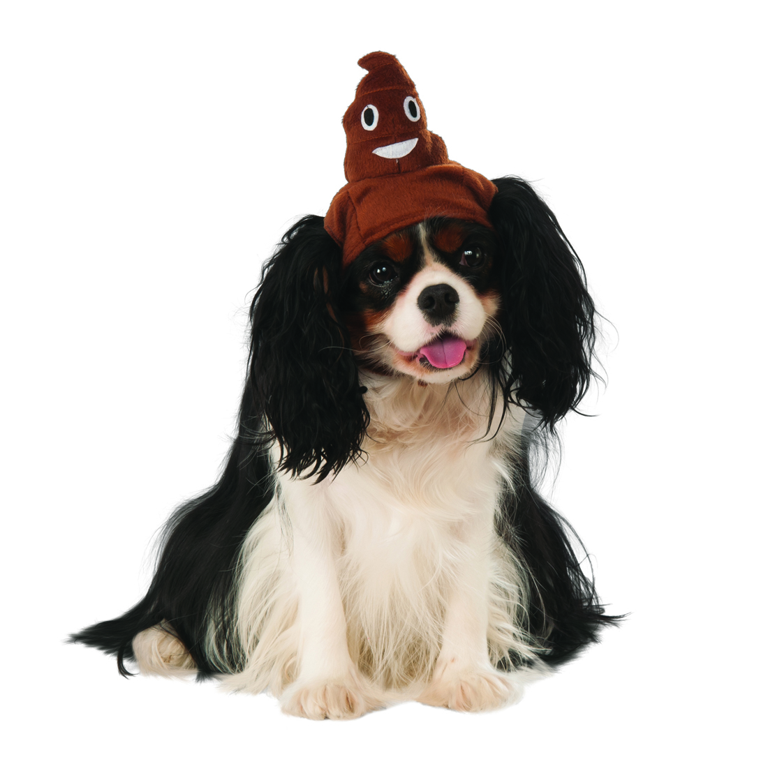 1100x1085 Poop Emoji Pet Funny Brown Halloween Accessory Hat Ebay