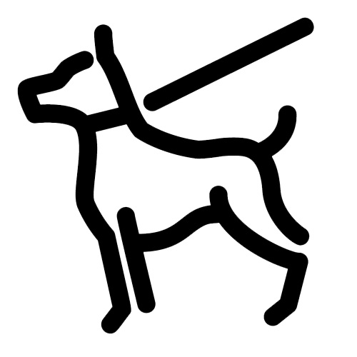 Dog Walking Icon