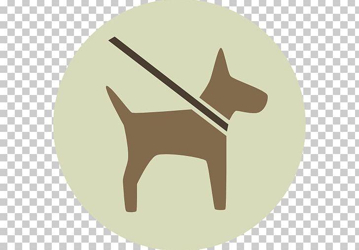 728x508 Dog Walking Pet Sitting Leash Png, Clipart, Angle, Animals