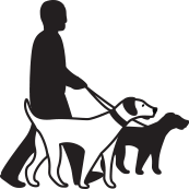 173x173 One Tired Dog