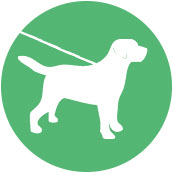 173x173 Paws Up Walks