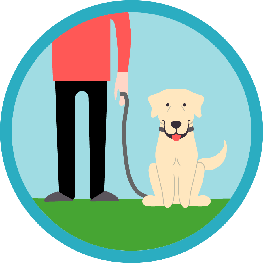 913x915 Who Can Look After My Dog While I'm On Holiday