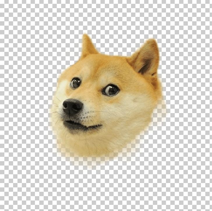 728x724 Dogecoin Shiba Inu Computer Icons Png, Clipart, Canaan Dog