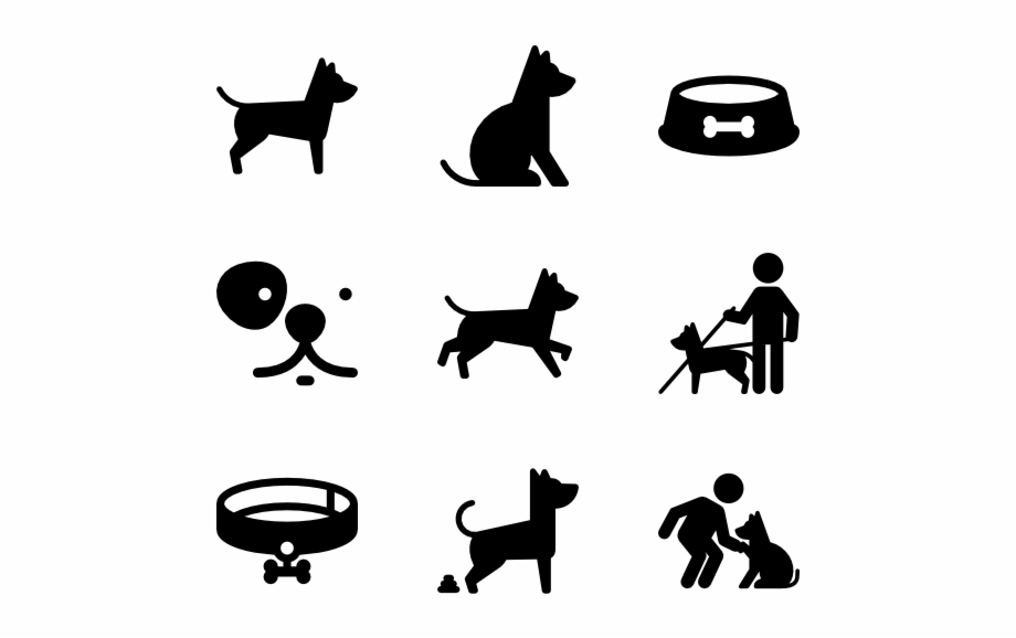 920x578 Dog And Training