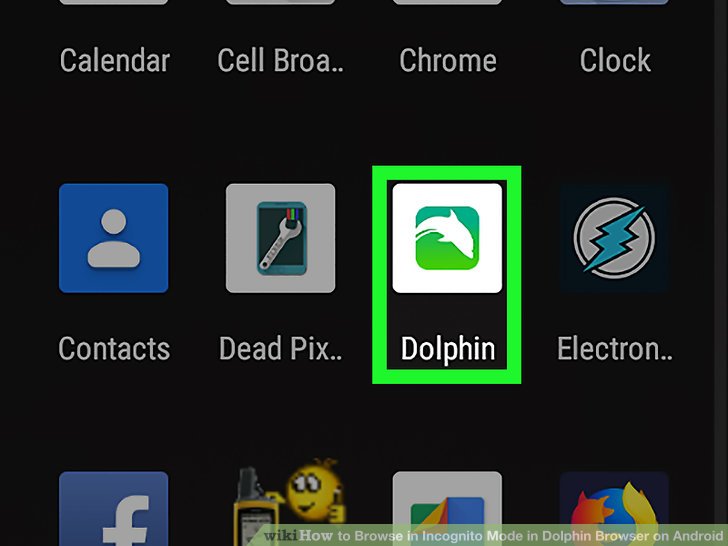 728x546 How To Browse In Incognito Mode In Dolphin Browser On Android