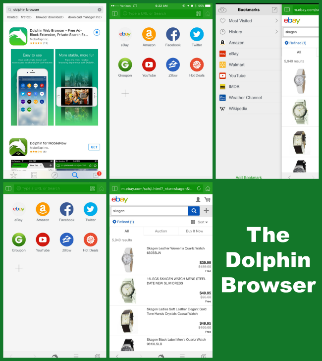 650x728 Using The Dolphin Browser App