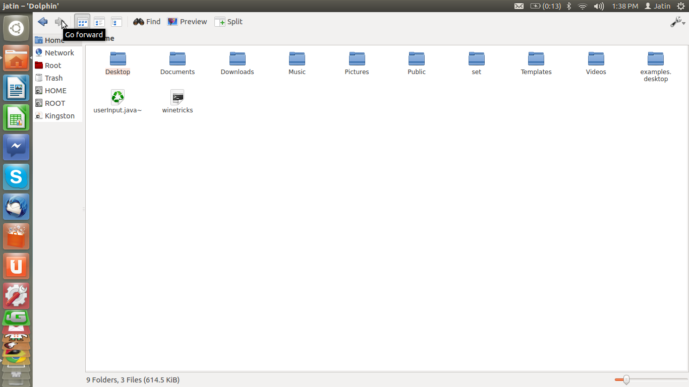 1366x768 What Is Dolphin