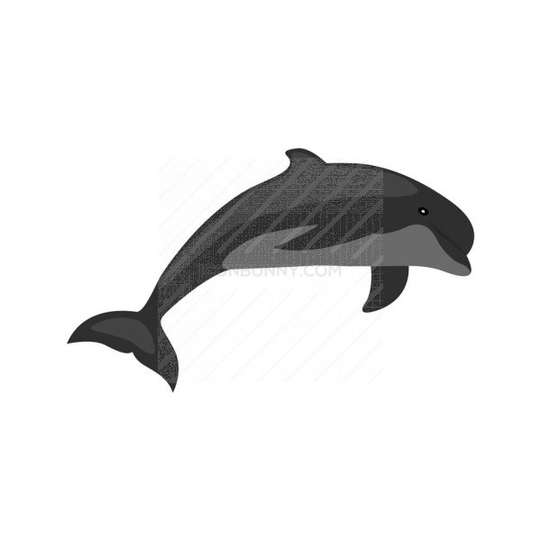 600x600 Dolphin Greyscale Icon