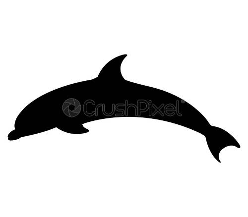 500x438 Dolphn, Stock Vector Crushpixel