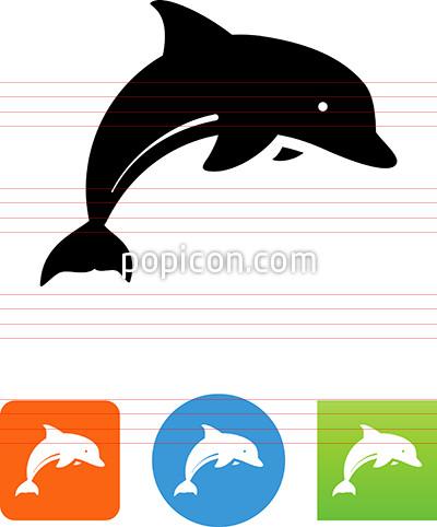 400x482 Dolphn
