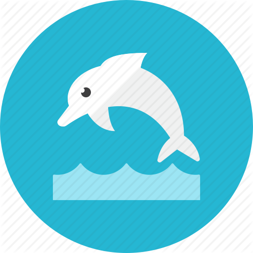512x512 Dolphn