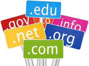 300x222 Domain Name Ideas
