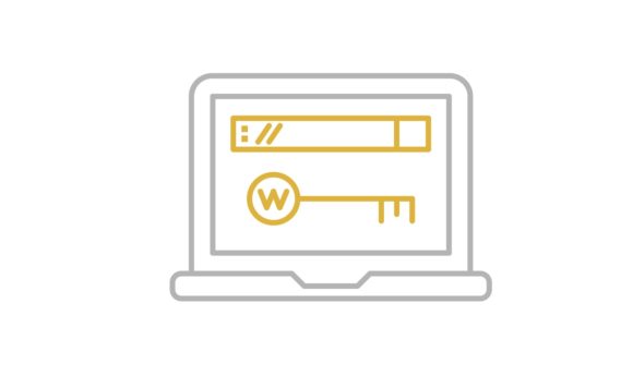 580x356 Domain Name Icon Graphic