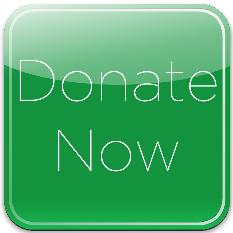 800x800 Donate Icon