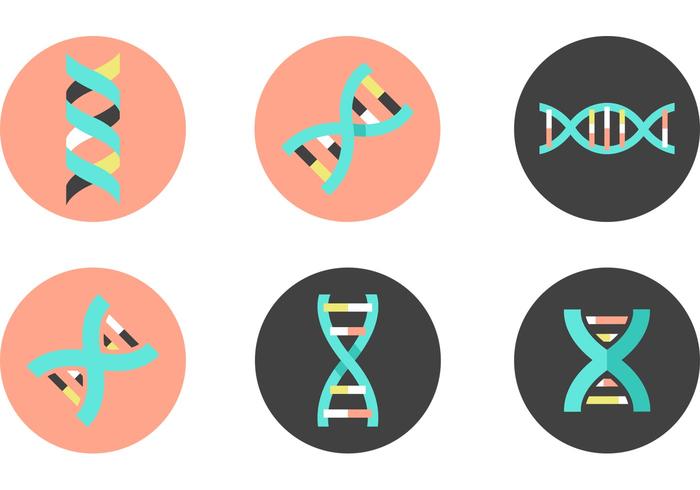 Dna Double Helix Vector Icons 700x490 Dna Double Helix Vector Icons
