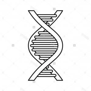 Double Dna Helix Icons Vector Newwaysys 300x300 Double Dna Helix Icons Vector Newwaysys