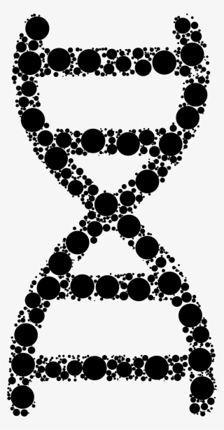 Double Helix Png Images Png Cliparts Free Download On Seekpng 320x614 Double Helix Png Images Png Cliparts Free Download On Seekpng