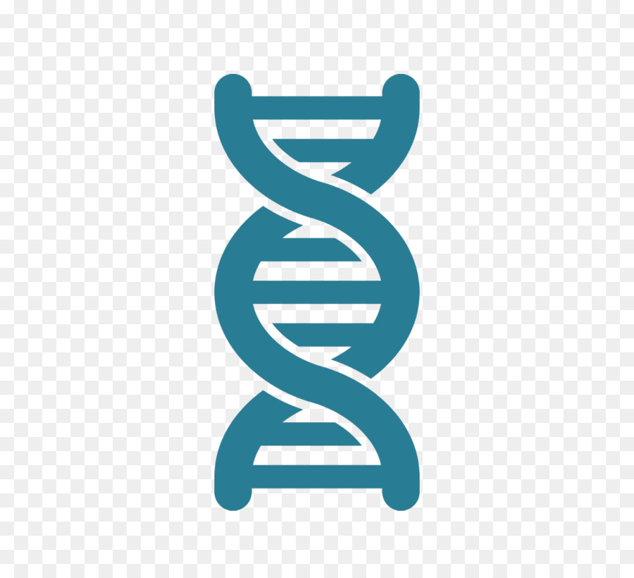 Double Helix Clipart 900x820 Double Helix Clipart