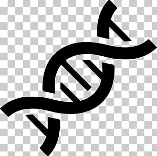 Nucleic Acid Double Helix Dna Computer Icons Genetics Png, Clipart 310x308 Nucleic Acid Double Helix Dna Computer Icons Genetics Png, Clipart