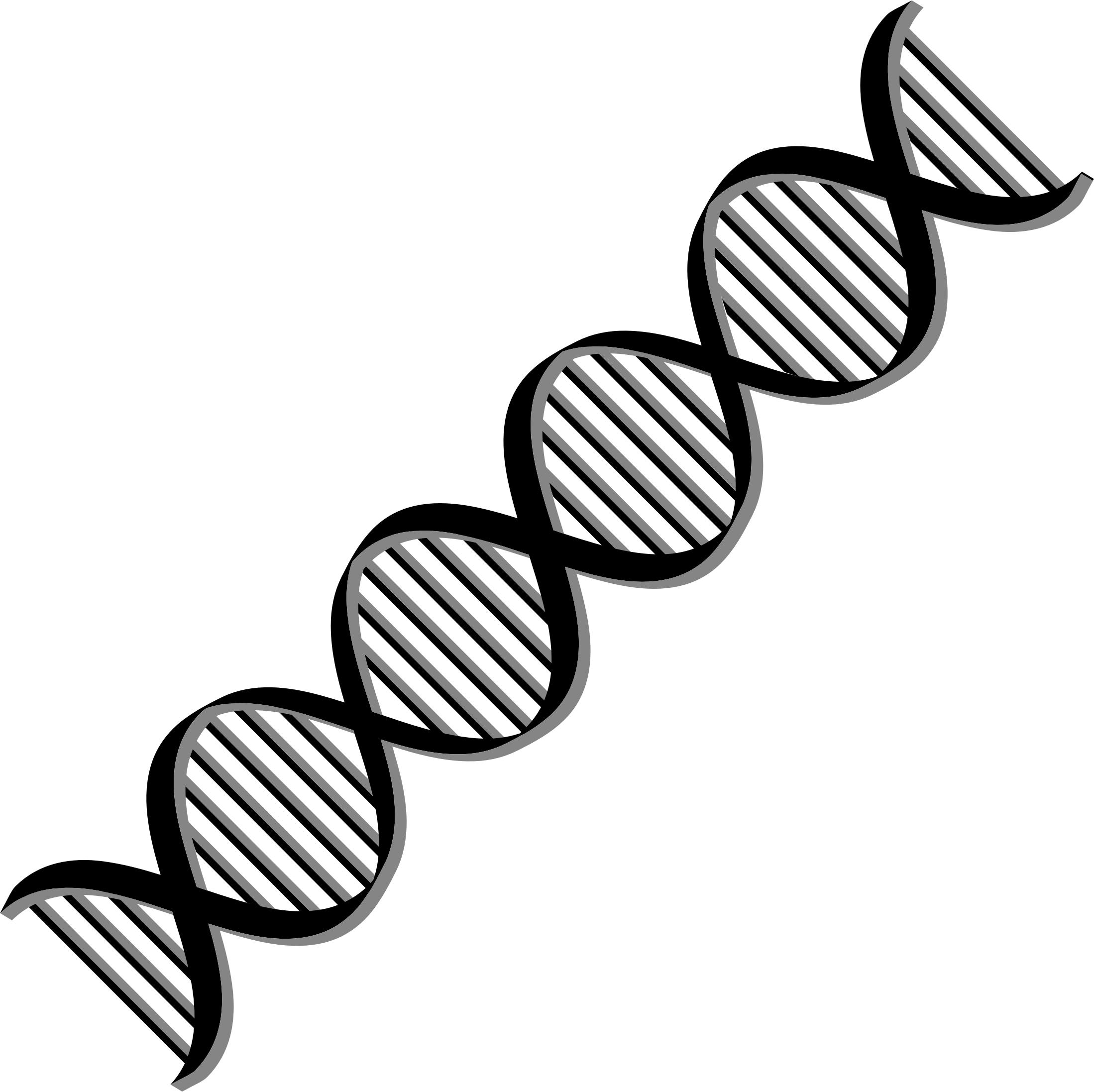 Dna Helix Variation Icons Png 2198x2194 Dna Helix Variation Icons Png
