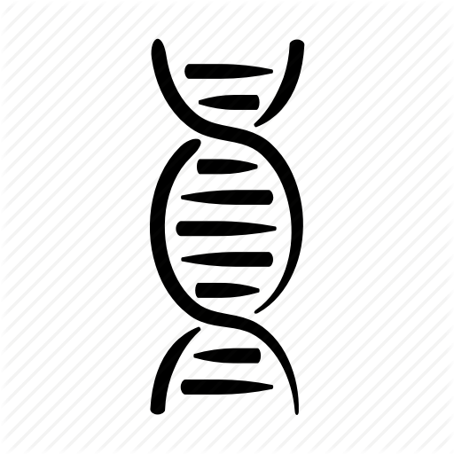 Dna, Double, Genes, Genetics, Hand Drawn, Helix, Strand Icon 512x512 Dna, Double, Genes, Genetics, Hand Drawn, Helix, Strand Icon