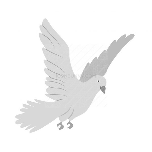 600x600 Dove Greyscale Icon