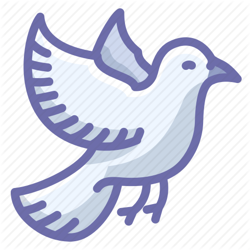 512x512 Bird, Dove Icon