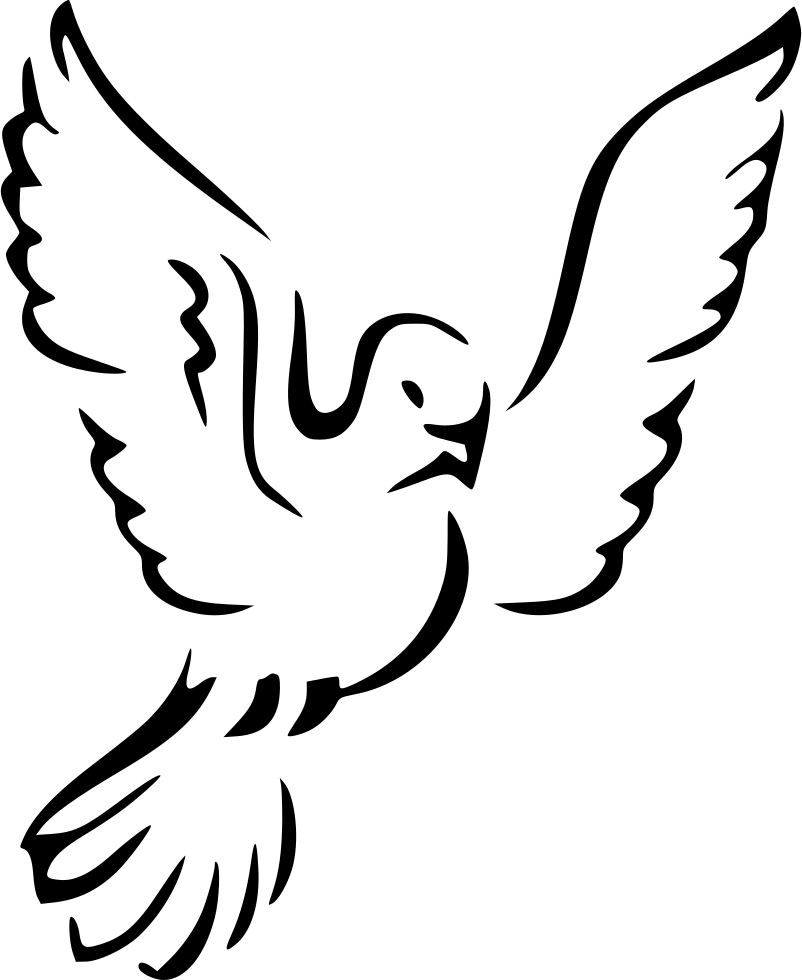 Dove Png Icon Free Download 802x980 Dove Png Icon Free Download