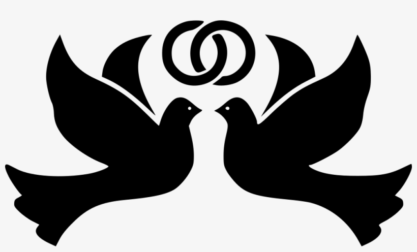 Bird Birds Dove Doves Flight Fly Flying Peace Ring 820x496 Bird Birds Dove Doves Flight Fly Flying Peace Ring